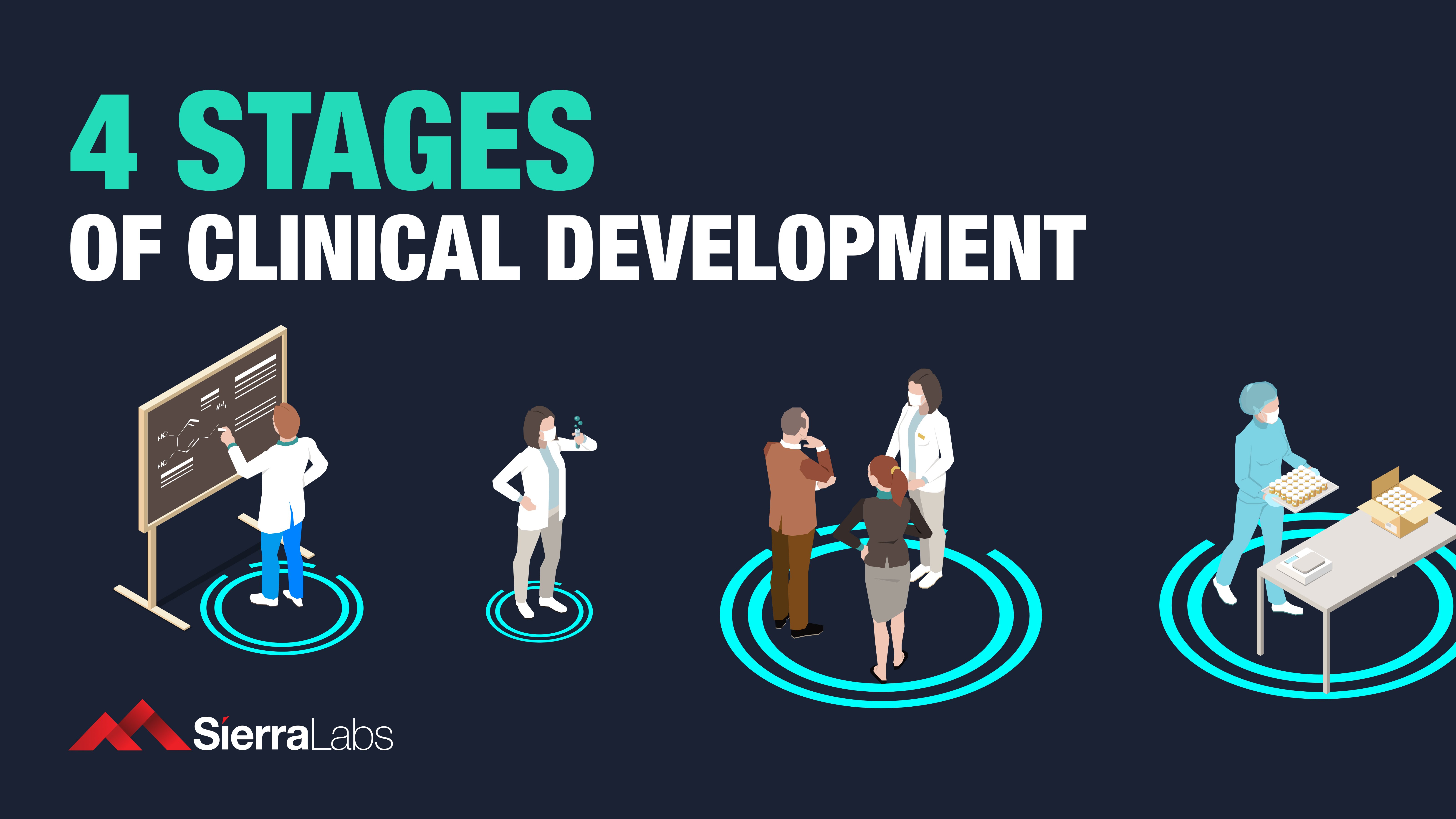 4 Stages of Clinical Development Program for FDA